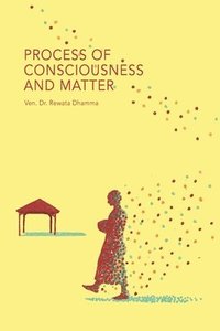 bokomslag Process of Consciousness and Matter
