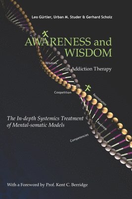 bokomslag Awareness and Wisdom in Addiction Therapy