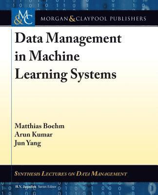 Matthias Boehm, Arun Kumar, Jun Yang - Data Management in Machine Learning Systems, Inbunden