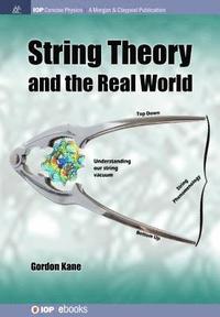 bokomslag String Theory and the Real World