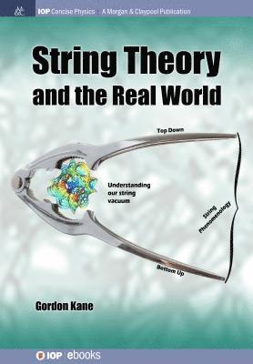 Gordon Kane - String Theory and the Real World, Häftad