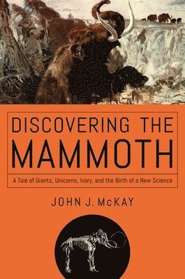 Discovering the Mammoth 1