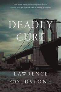bokomslag Deadly Cure