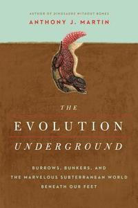 bokomslag The Evolution Underground
