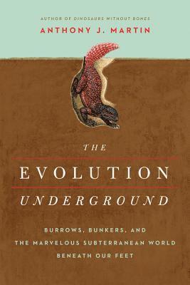 The Evolution Underground 1