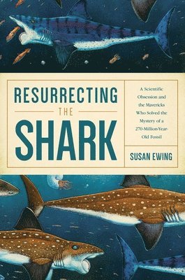 bokomslag Resurrecting the Shark