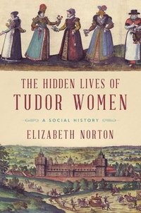 bokomslag The Hidden Lives of Tudor Women
