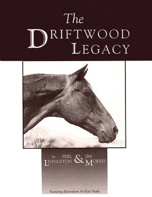 bokomslag The Driftwood Legacy