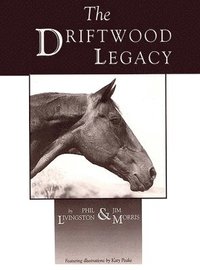bokomslag Driftwood Legacy