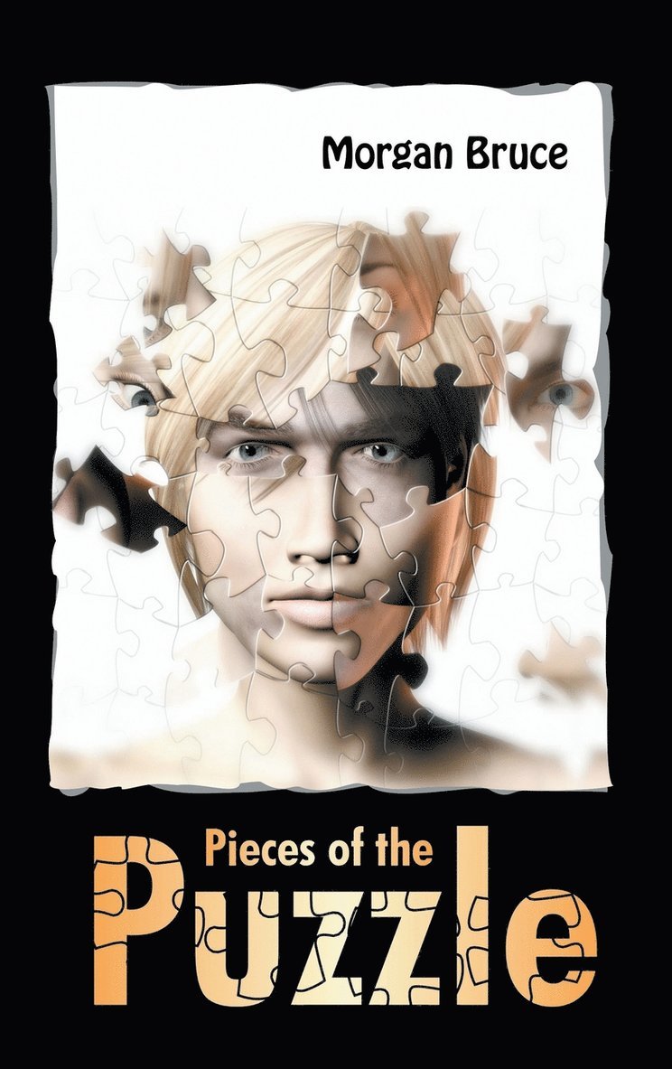 Pieces of the Puzzle 1