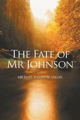 bokomslag The Fate of Mr Johnson