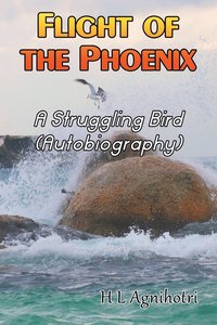 bokomslag Flight of the Phoenix