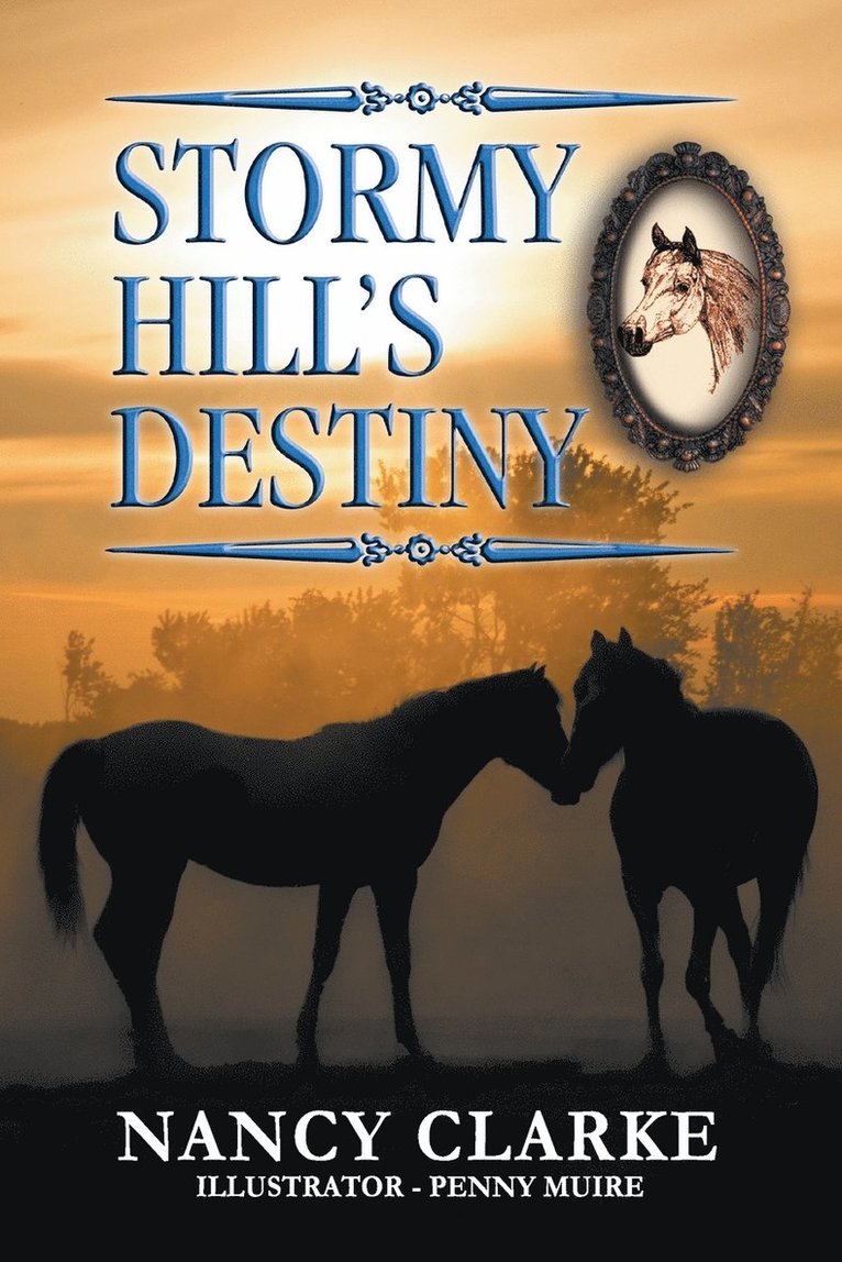 Stormy Hill's Destiny 1