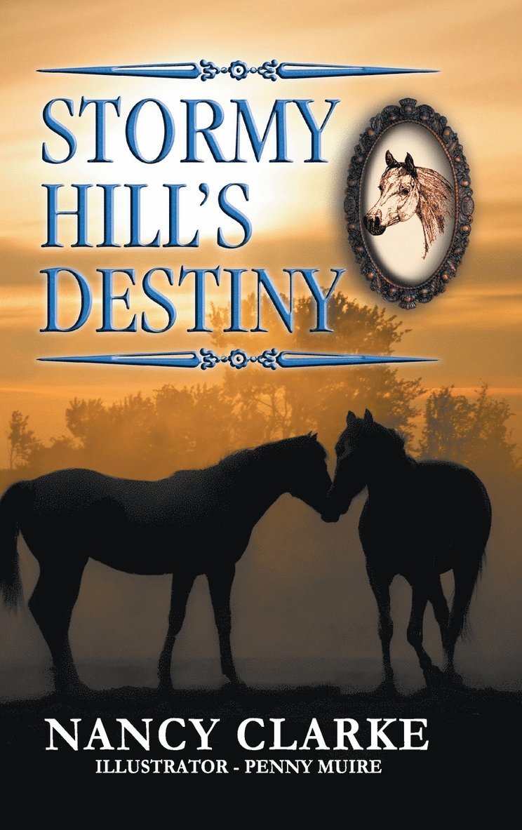 Stormy Hill's Destiny 1