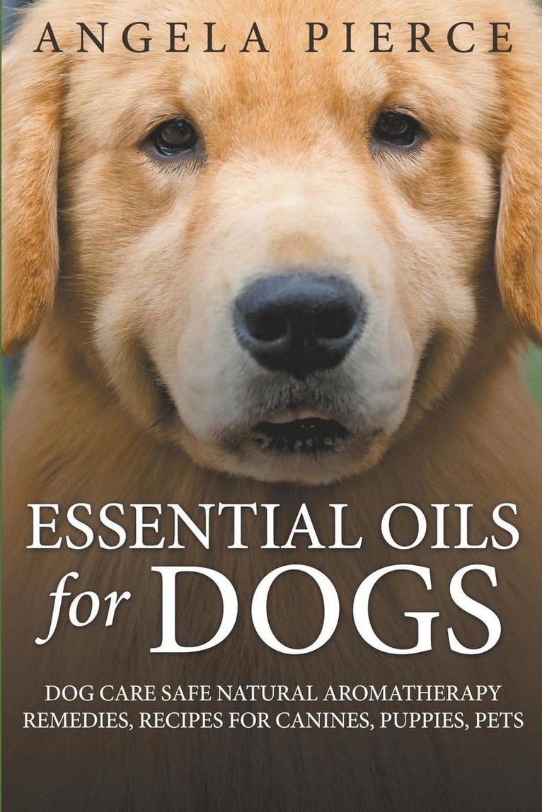 Essential Oils For Dogs 1