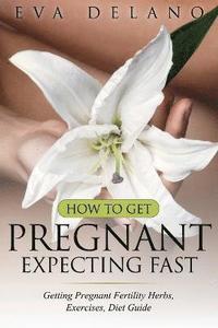 bokomslag How to Get Pregnant