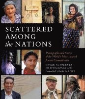 bokomslag Scattered Among the Nations