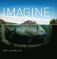 bokomslag Imagine