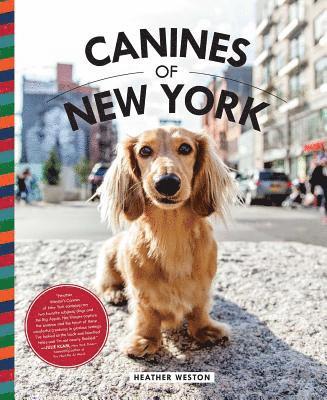 bokomslag Canines of New York