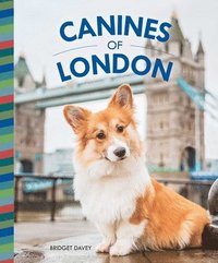 bokomslag Canines of London