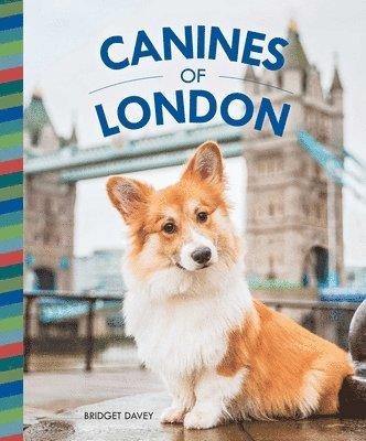 Bridget Davey - Canines of London, Inbunden