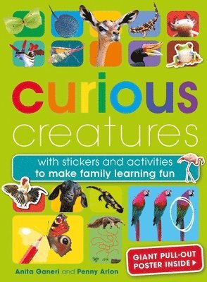 Curious Creatures 1