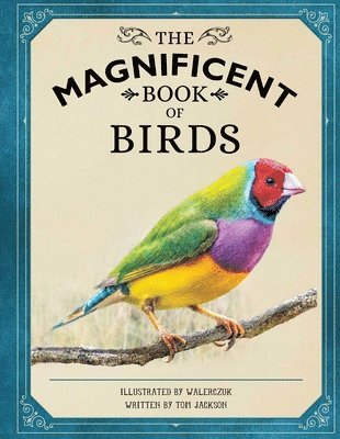 bokomslag Magnificent Book of Birds