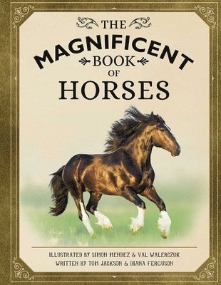 bokomslag Magnificent Book of Horses