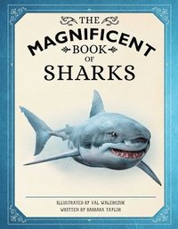bokomslag Magnificent Book of Sharks