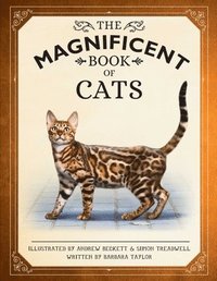 bokomslag The Magnificent Book of Cats: (Kids Books about Cats, Middle Grade Cat Books, Books about Animals)