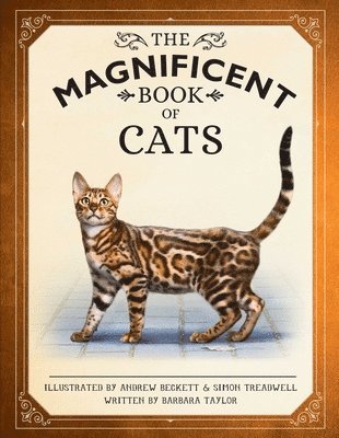 The Magnificent Book of Cats: (Kids Books about Cats, Middle Grade Cat Books, Books about Animals) 1