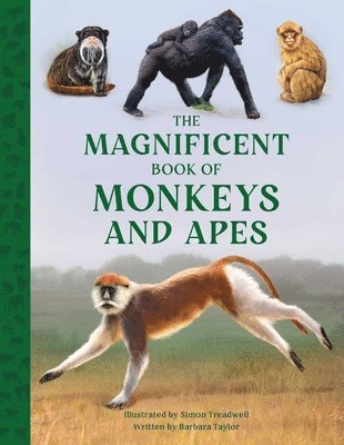 The Magnificent Book of Monkeys and Apes 1