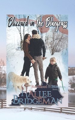 Blizzard in the Bluegrass 1