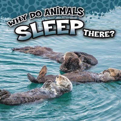 Sam George - George, S: Why Do Animals Sleep There?, Häftad