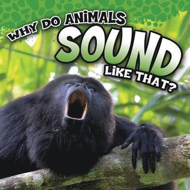 Robin Koontz - Why Do Animals Sound Like That?, Häftad