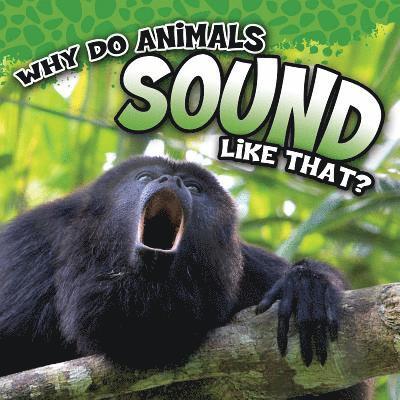Robin Koontz - Koontz, R: Why Do Animals Sound Like That?, Häftad