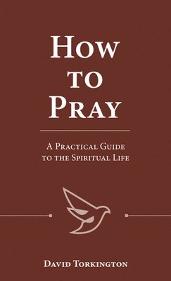 How to Pray: A Practical Guide to the Spiritual Life 1