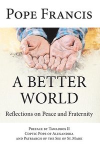 bokomslag A Better World