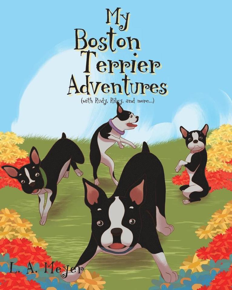 My Boston Terrier Adventures (with Rudy, Riley and more...) 1