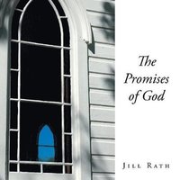 bokomslag Promises of God