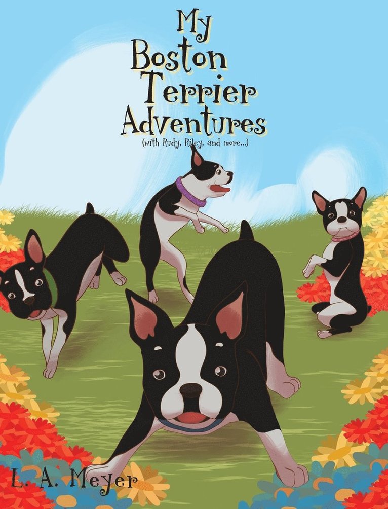 My Boston Terrier Adventures (with Rudy, Riley and more...) 1