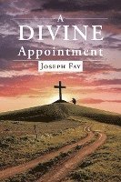 bokomslag A Divine Appointment