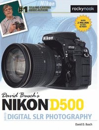 bokomslag David Busch's Nikon D500 Guide to Digital SLR Photography