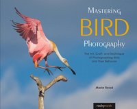 bokomslag Mastering Bird Photography