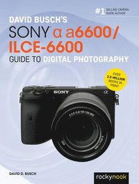 bokomslag David Buschs Sony Alpha a6600/ILCE-6600 Guide to Digital Photography