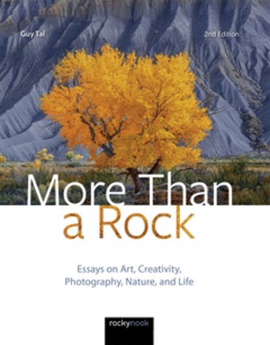 Guy Tal - More Than a Rock, Inbunden