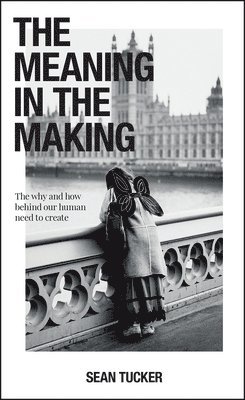 Sean Tucker - Meaning in the Making, Häftad
