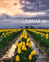 bokomslag Photographer's Guide to Luminar AI,The