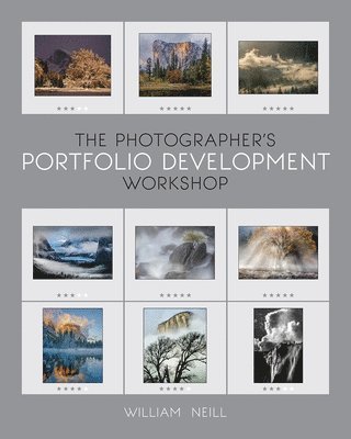 The Photographer's Portfolio Development Workshop 1