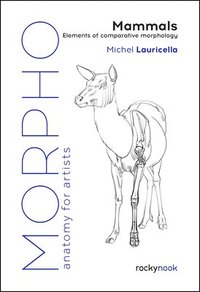 bokomslag Morpho: Mammals